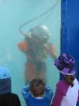 IMG_8258 IMG_8258