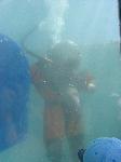 IMG_8259 IMG_8259
