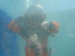 IMG_8260 IMG_8260