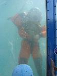 IMG_8262 IMG_8262
