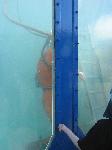 IMG_8264 IMG_8264