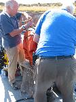 IMG_8278 IMG_8278
