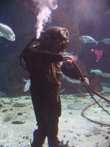 IMG_2961