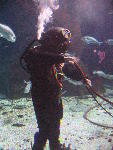 IMG_2961 IMG_2961