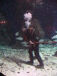 IMG_2914 IMG_2914