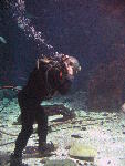 IMG_2915 IMG_2915