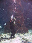 IMG_2917 IMG_2917