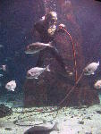 IMG_2918 IMG_2918