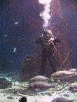 IMG_2919 IMG_2919