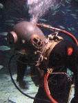 IMG_2920 IMG_2920