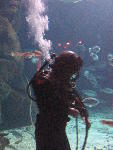 IMG_2926 IMG_2926