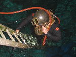 IMG_2951 IMG_2951