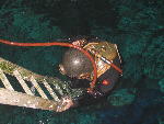 IMG_2952 IMG_2952