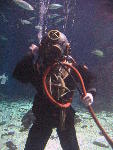 IMG_2959 IMG_2959