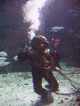 IMG_2960 IMG_2960