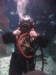 IMG_2963 IMG_2963