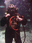 IMG_2964 IMG_2964