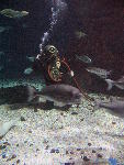 IMG_2966 IMG_2966
