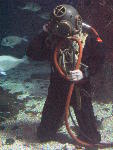 IMG_2967 IMG_2967