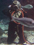 IMG_2968 IMG_2968