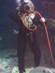 IMG_2969 IMG_2969