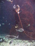 IMG_2970 IMG_2970