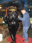 IMG_2975 IMG_2975