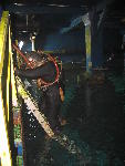 IMG_3013 IMG_3013