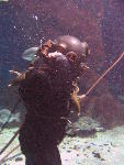 IMG_3019 IMG_3019