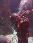 IMG_3021 IMG_3021
