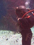 IMG_3022 IMG_3022