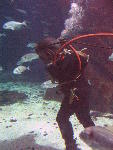 IMG_3023 IMG_3023