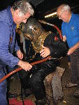 IMG_3027 IMG_3027