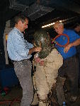 IMG_3046 IMG_3046