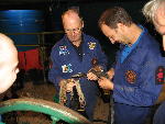 IMG_3051 IMG_3051