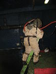 IMG_3063 IMG_3063