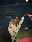IMG_3064 IMG_3064