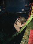 IMG_3065 IMG_3065