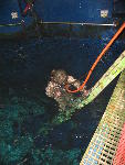 IMG_3066 IMG_3066