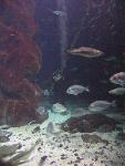 IMG_3090 IMG_3090
