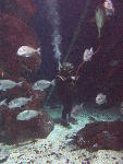 IMG_3091 IMG_3091