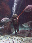 IMG_3092 IMG_3092