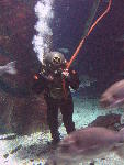 IMG_3093 IMG_3093
