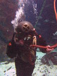 IMG_3095 IMG_3095