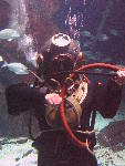 IMG_3096 IMG_3096
