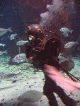 IMG_3099 IMG_3099