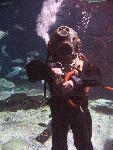 IMG_3100 IMG_3100