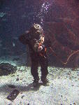 IMG_3102 IMG_3102
