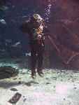 IMG_3103 IMG_3103