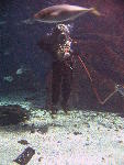 IMG_3104 IMG_3104